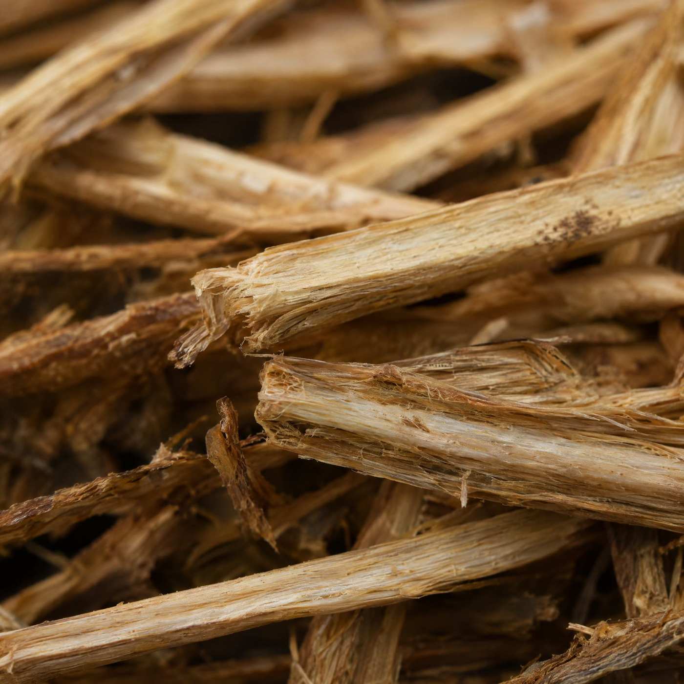 Close-up of pale fibrous woody tobacco stems