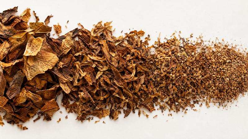 Leaf fragments graduated from coarse to fine on a white sheet