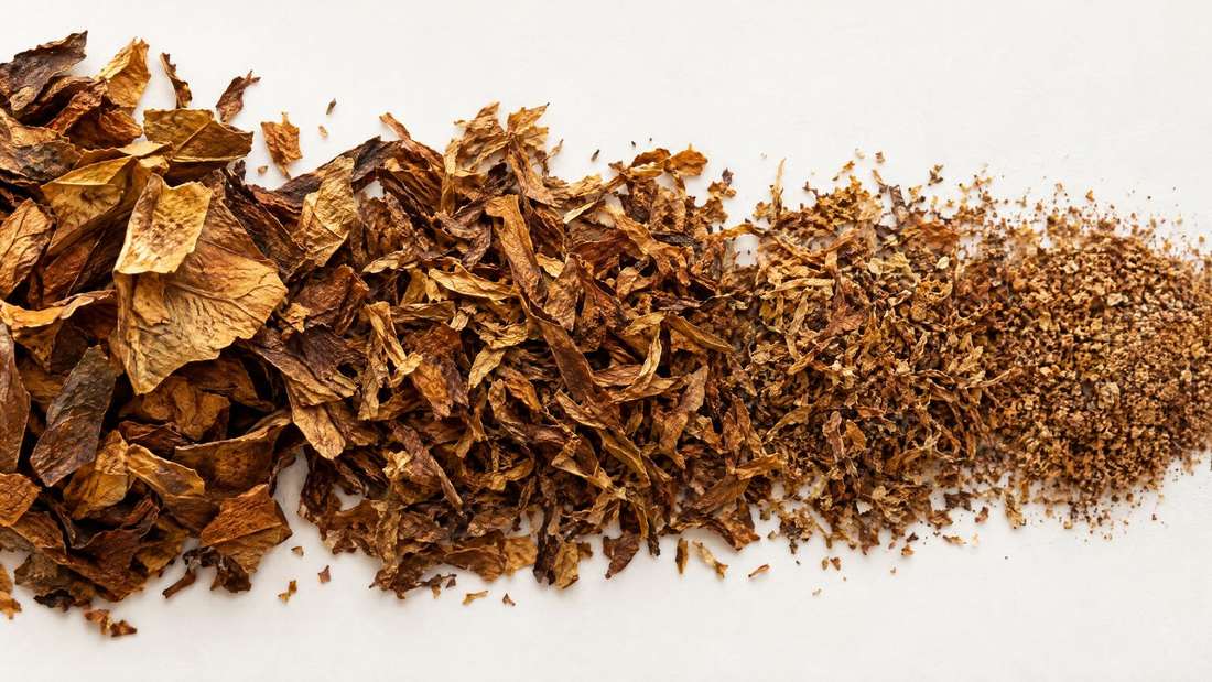 Leaf fragments graduated from coarse to fine on a white sheet